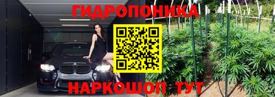 каннабис Кингисепп